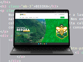 Pagínas web