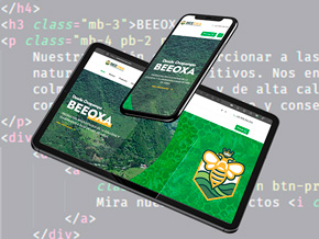 Diseño responsivo